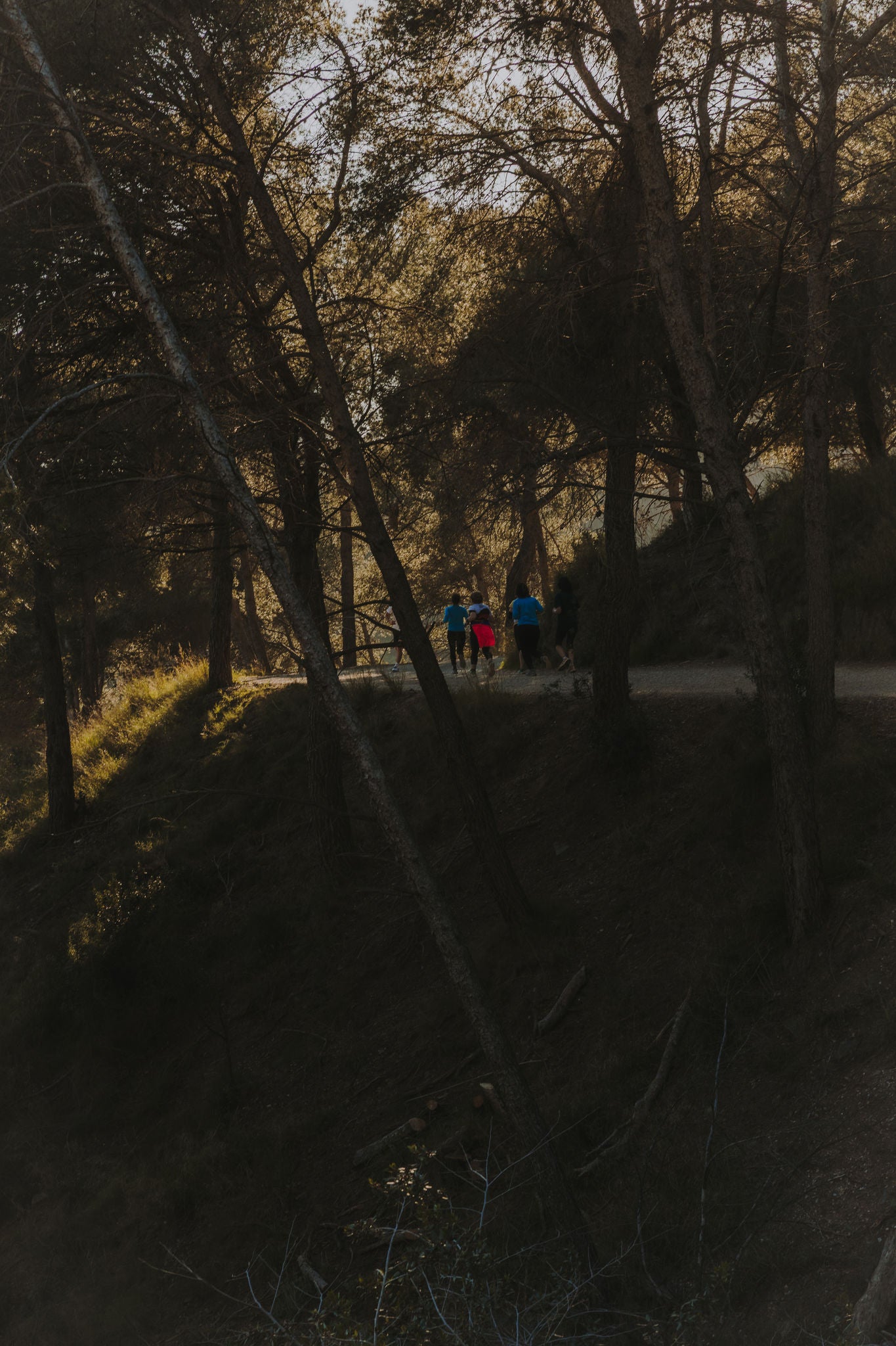 Personas corriendo por un camino de tierra entre árboles, en una zona boscosa con luz de tarde.