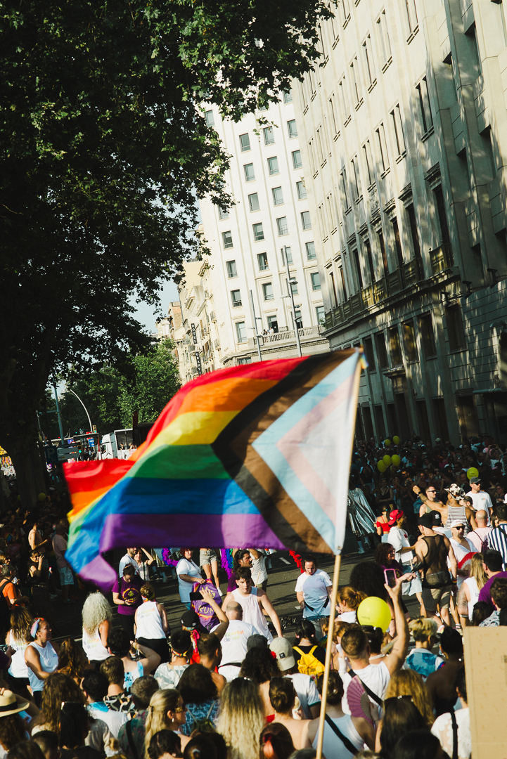 Large LGBTQIA+ flag waving in the middle of a massive demonstration on an urban street. The flag, with rainbow-coloured stripes and an inclusive triangular symbol, stands out against tall buildings and trees casting shade over the crowd.