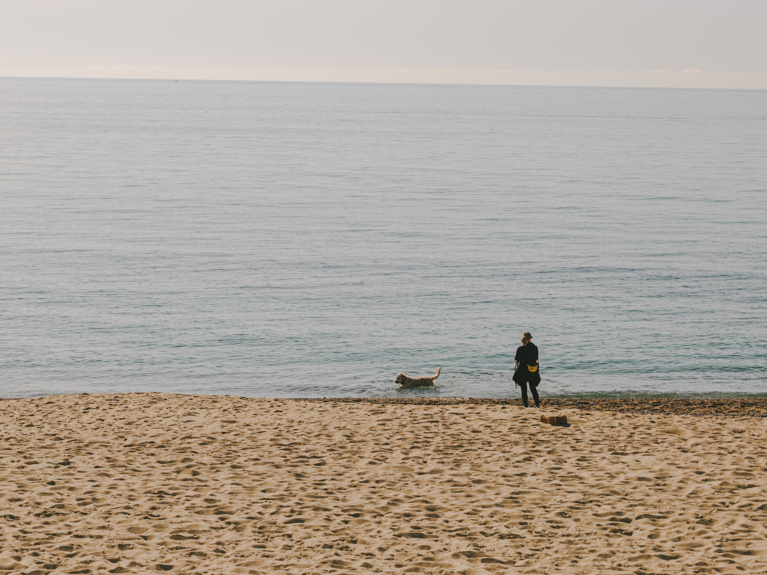 Person walking a dog by the sea on a quiet beach, with the horizon in the background.