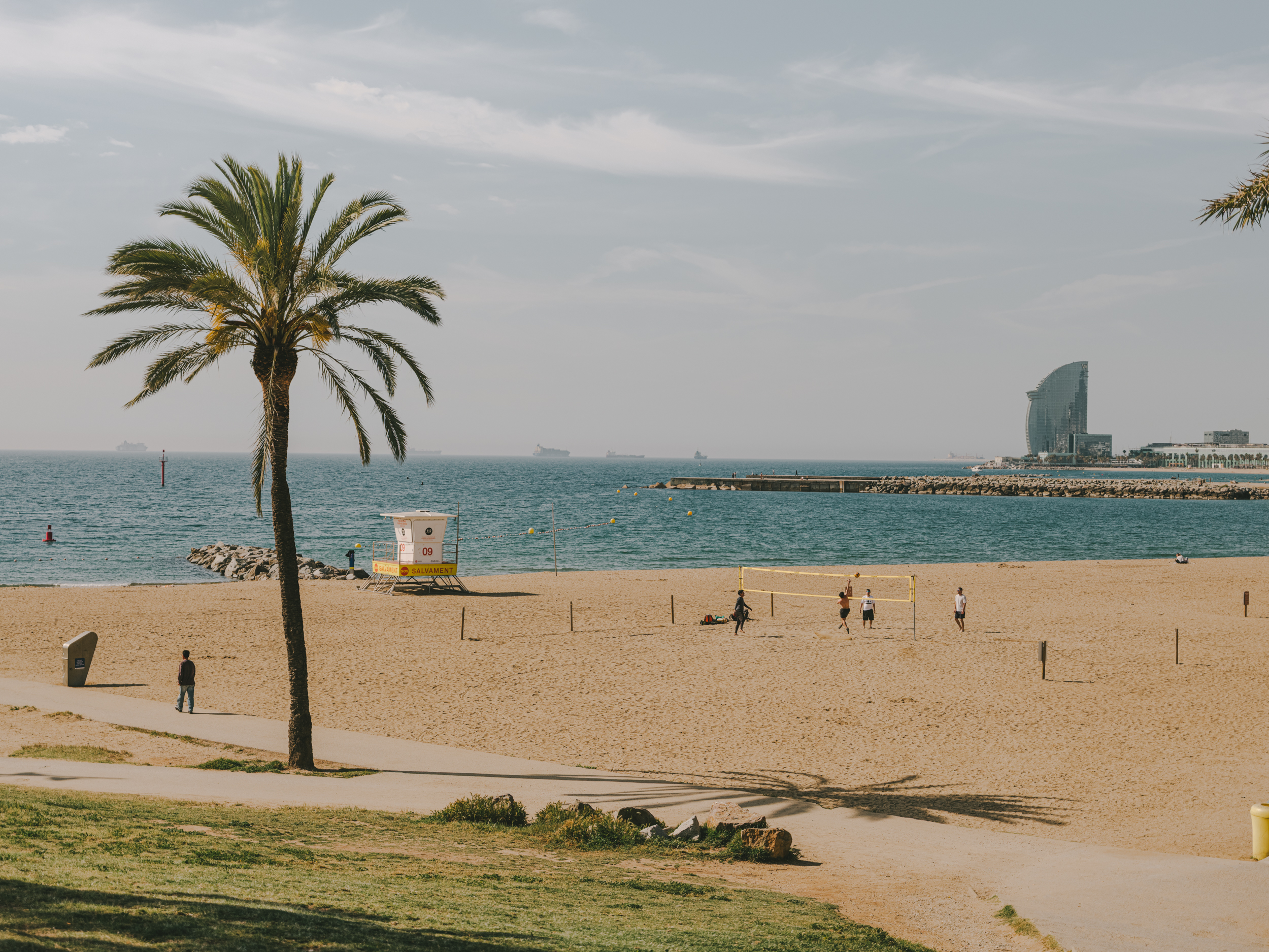 Barcelona beach with a palm tree in the foreground, people playing volleyball and the W Hotel in the background, under a clear sky.