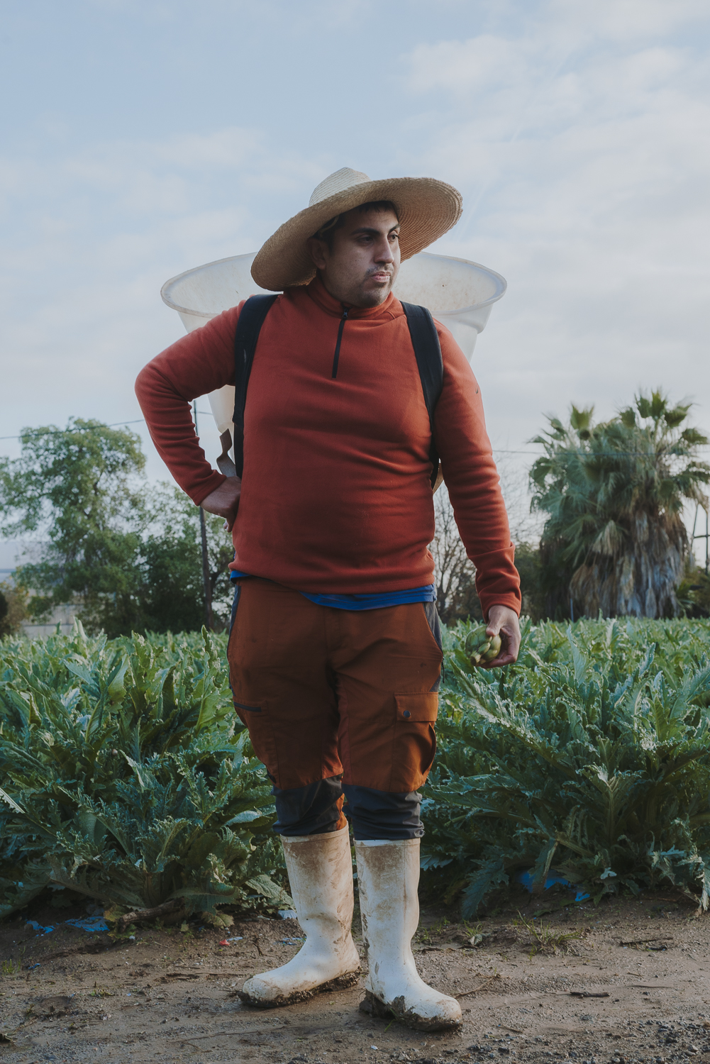 Hombre de pie frente a un campo de alcachofas. Lleva un sombrero de paja de ala ancha, un suéter rojo, pantalones con bolsillos y botas de goma blancas. En la espalda lleva una mochila para recolectar alcachofas.
