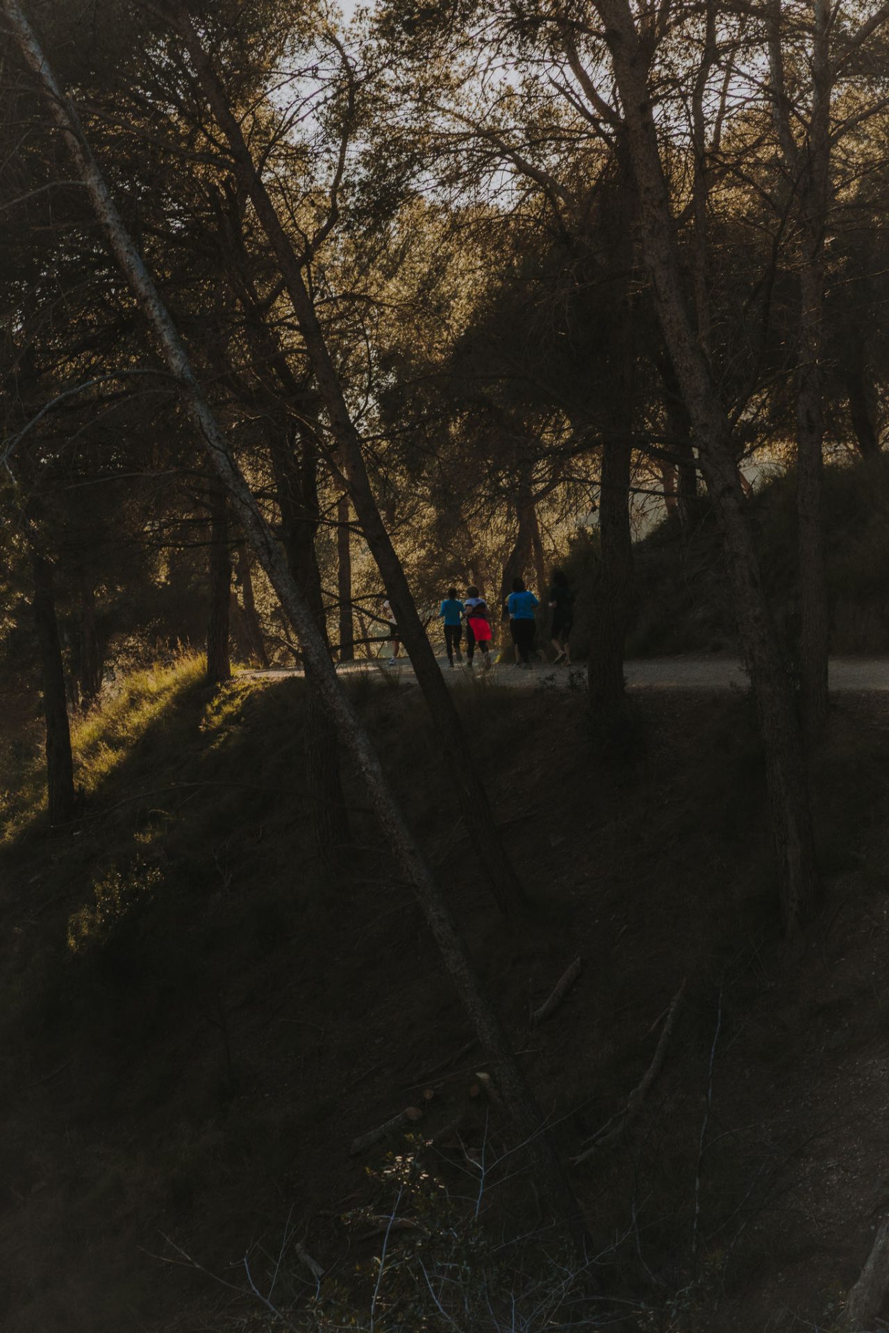 Des personnes courent sur un chemin de terre entre les arbres, dans une zone boisée baignée par la lumière de l’après-midi.