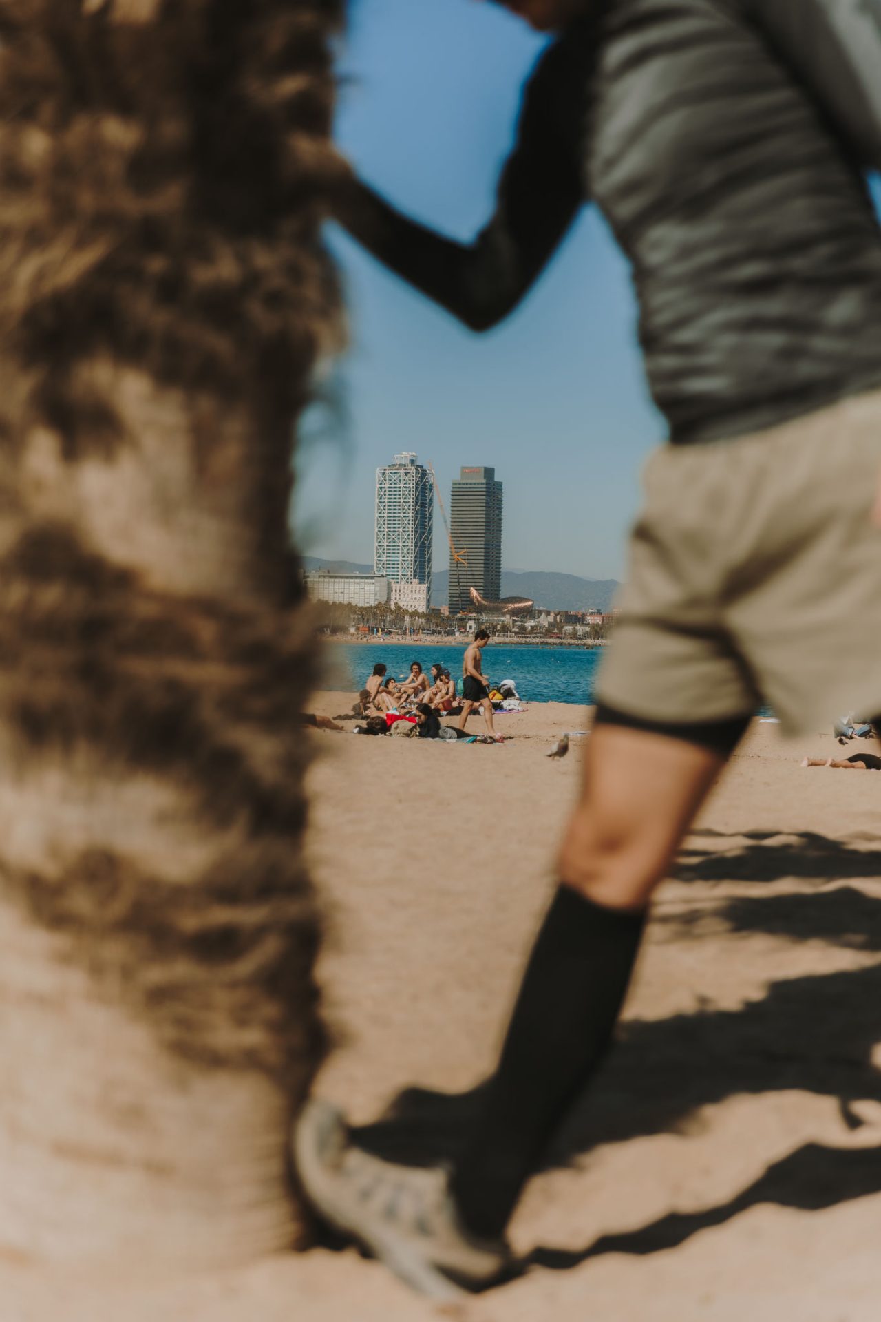 Personne faisant des étirements sur la plage à côté d’un palmier, avec des chaussettes de compression. En arrière-plan, des baigneurs, la mer et les tours du Port Olímpic.