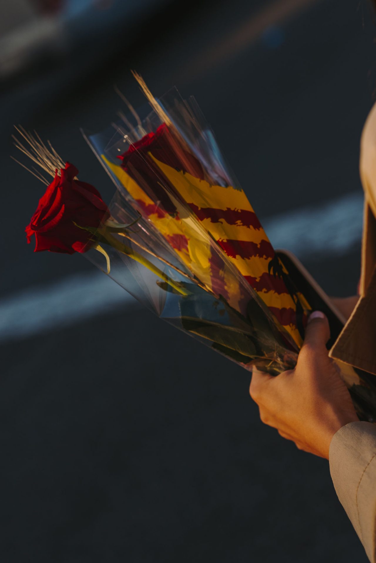 mà d´una noia amb dues rose