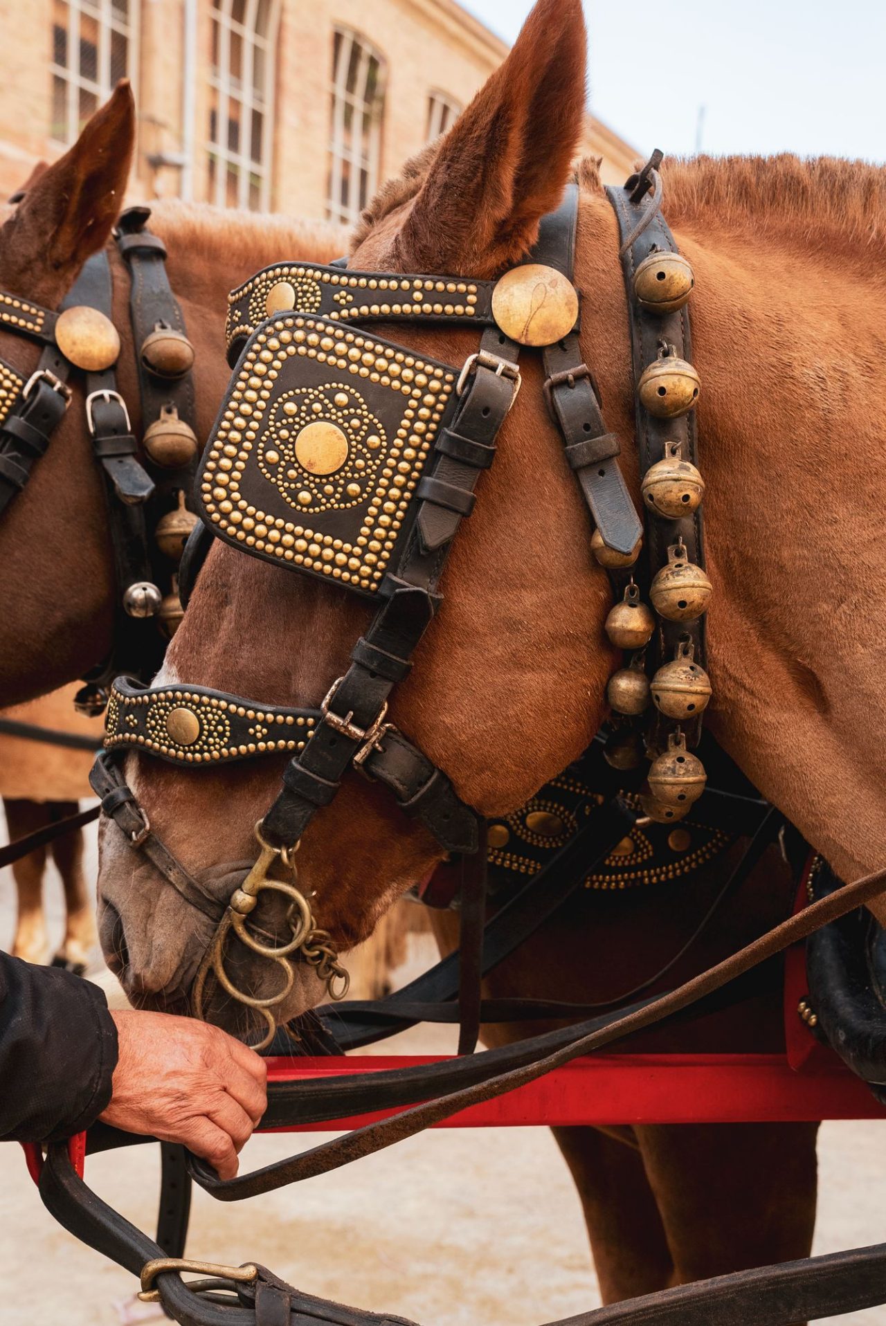 Tres Tombs Sant Andreu