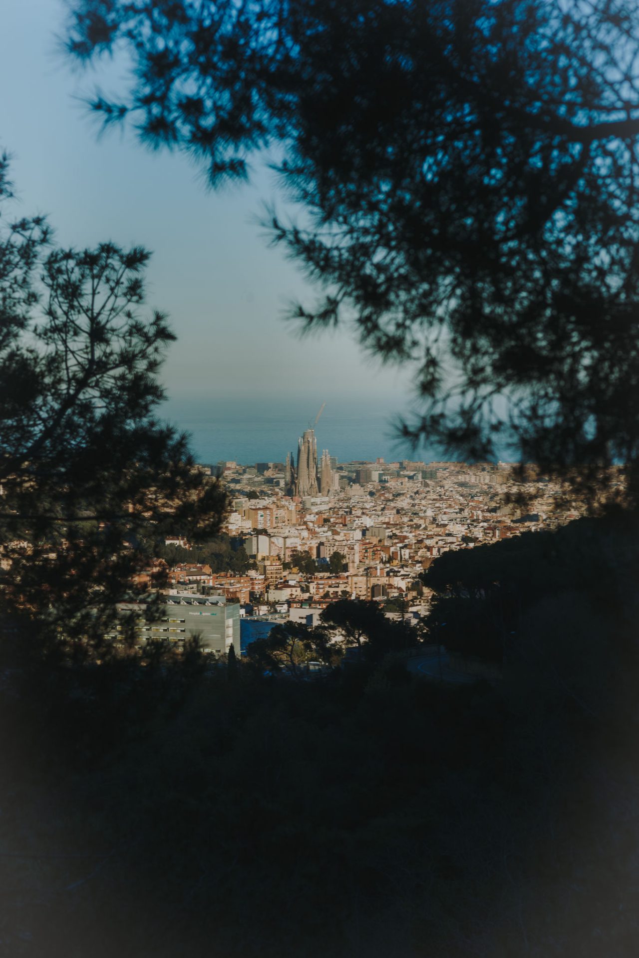 Vista panoramica di Barcellona incorniciata dagli alberi, con la Sagrada Família al centro e il mare sullo sfondo.